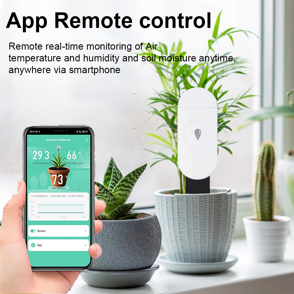 Tuya Zigbee Temperatur Feuchti – Smart Home News Bewertung und Preis