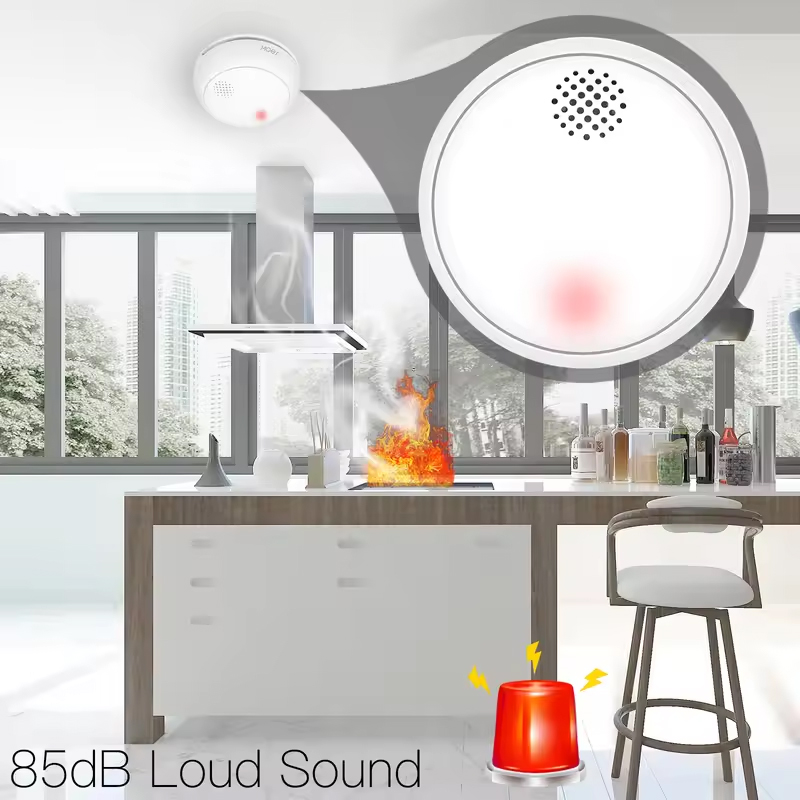 MOES ZigBee Smart Wireless Rau – Smart Home Kitchen Bewertung und Preis